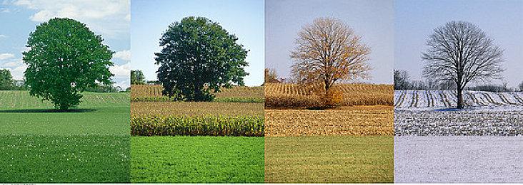 《守望先锋2》封测不会提供奥丽莎和末日铁拳新外观